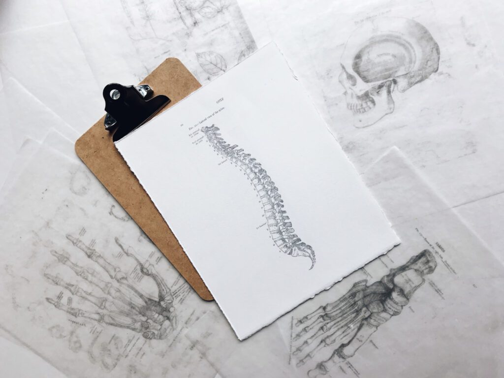 Neuroreflexologie behandeling bij ChanSiBelle praktijk voor Voetreflexologie behandeling gericht op reflexpunten van het lichaam