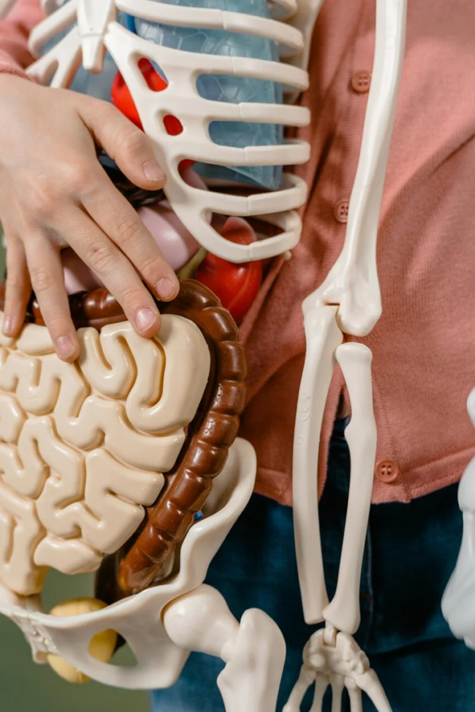 Een gratis gezondheidstest bij ChanSiBelle om inzicht te krijgen in voeding, leefstijl, vitaliteit en holistische gezondheid.